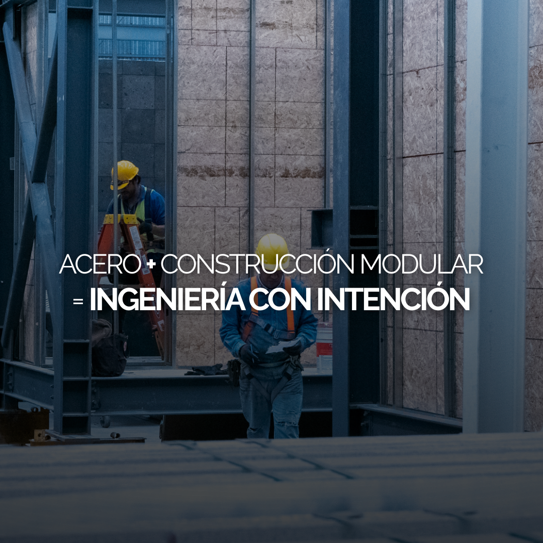 Newsletter Noviembre 2025